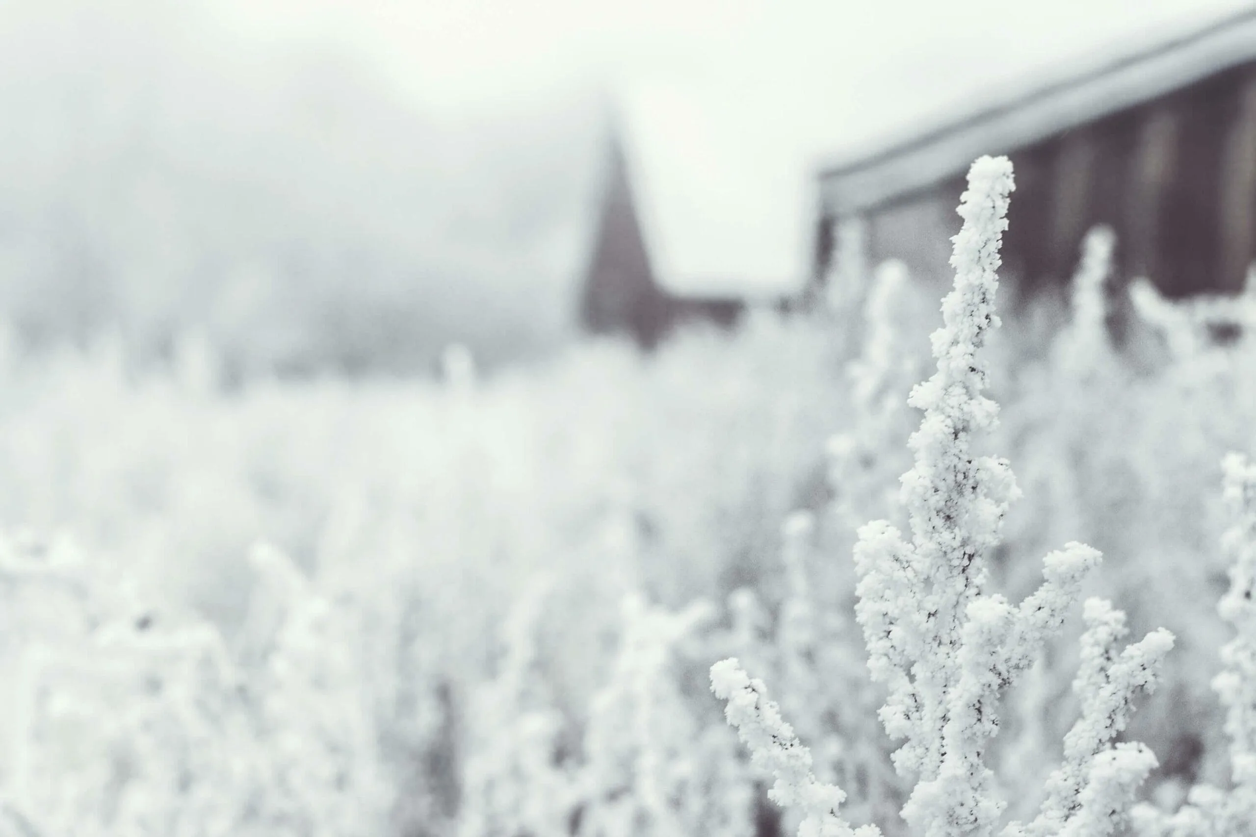 Featured image for “Trevian Care II Ky hankki hoivakiinteistön Hämeenlinnasta”