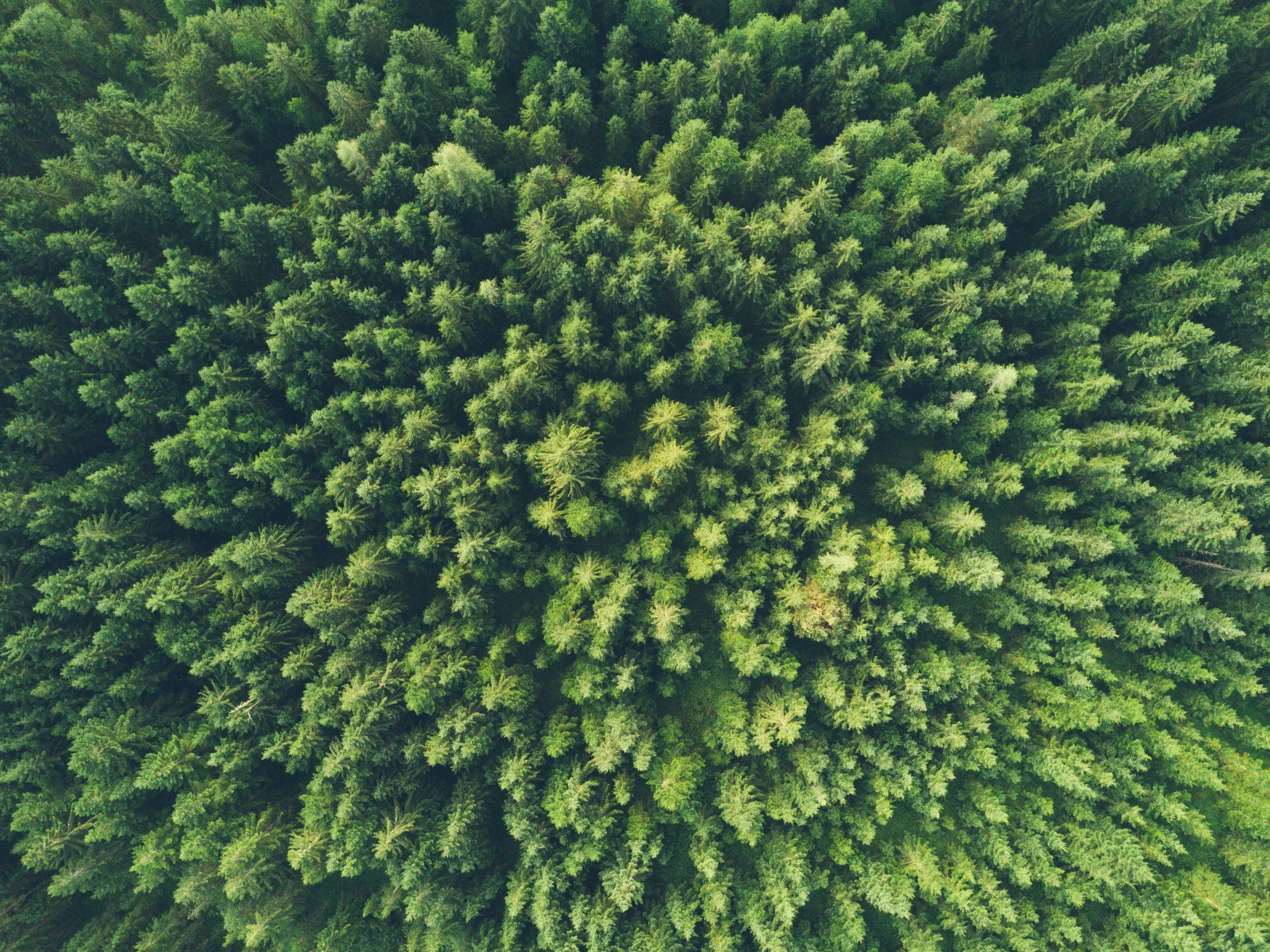 Featured image for “Trevian Rahastot AIFM Oy kirittää kiinteistöjen hiilineutraalia energiankäyttöä – tavoitteena olla hiilineutraali vuoteen 2030 mennessä”